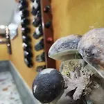 Hotel Ristorante Supersonik Acri