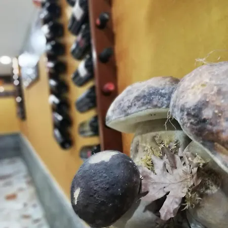 ホテル Ristorante Supersonik Acri