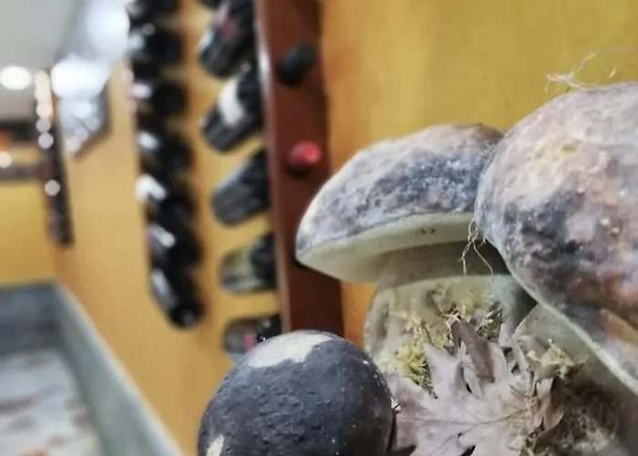 酒店 Ristorante Supersonik Acri